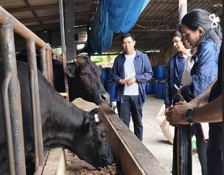 เปลือกทุเรียน สู่อาหารสัตว์คุณภาพสูง’ ขับเคลื่อนโมเดลเศรษฐกิจ BCGโดยวิสาหกิจชุมชนเพียวพลัสฟาร์ม ฟาร์มโคพันธุ์ดีปากน้ำโพ